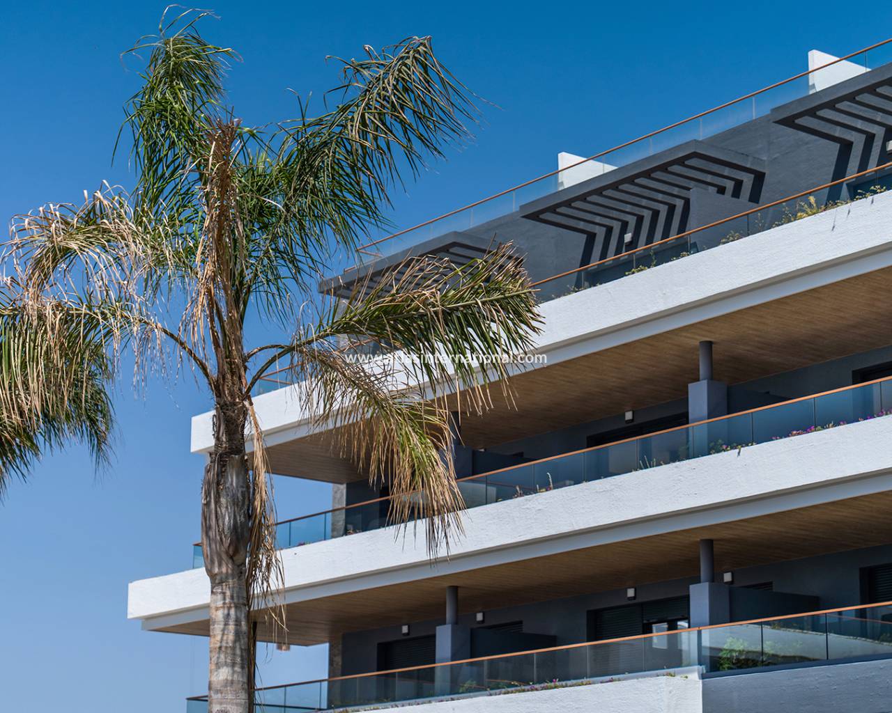 Bungalow - New Build - ﻿Torrevieja (Alicante) - Spain