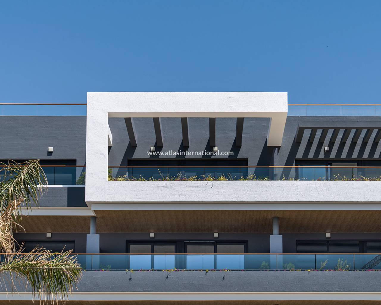 Leilighet - New Build - ﻿Torrevieja (Alicante) - Spain
