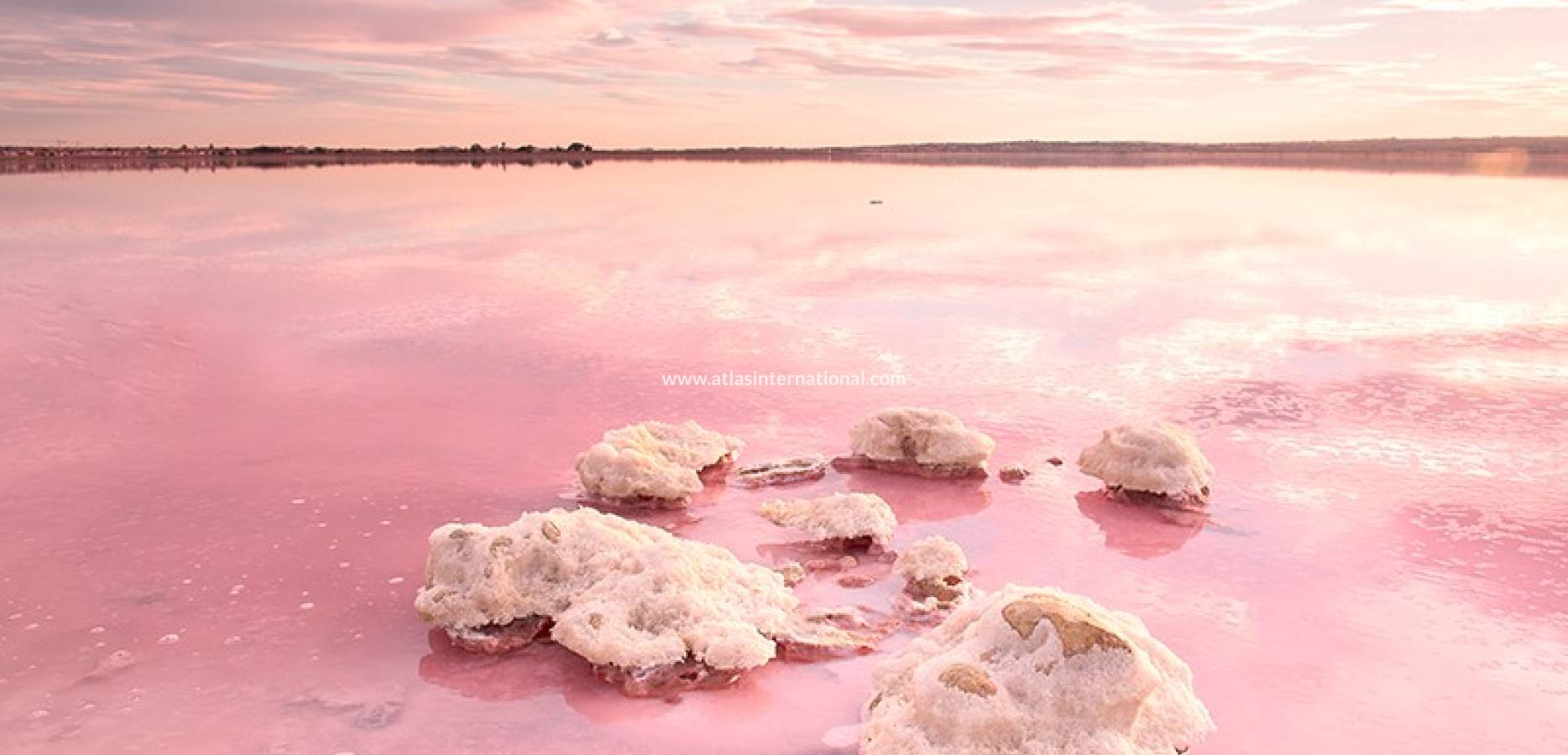 Nowo zbudowane - Apartament - Torrevieja