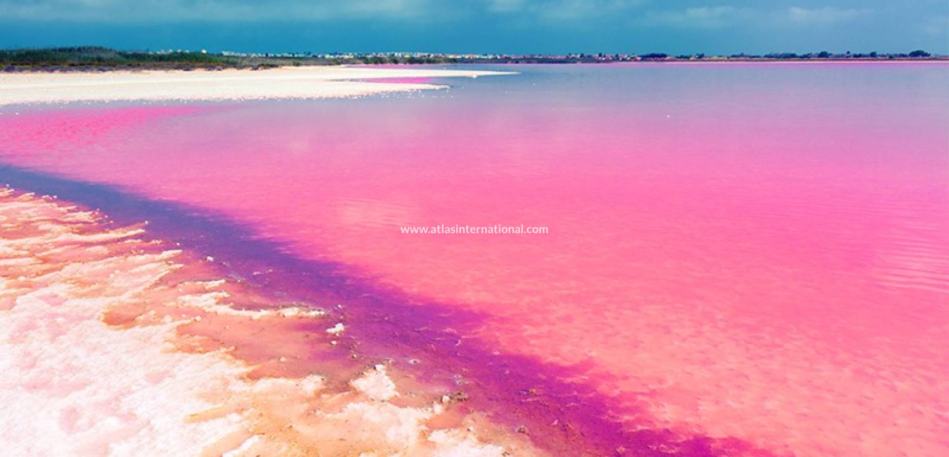 Nowo zbudowane - Apartament - Torrevieja