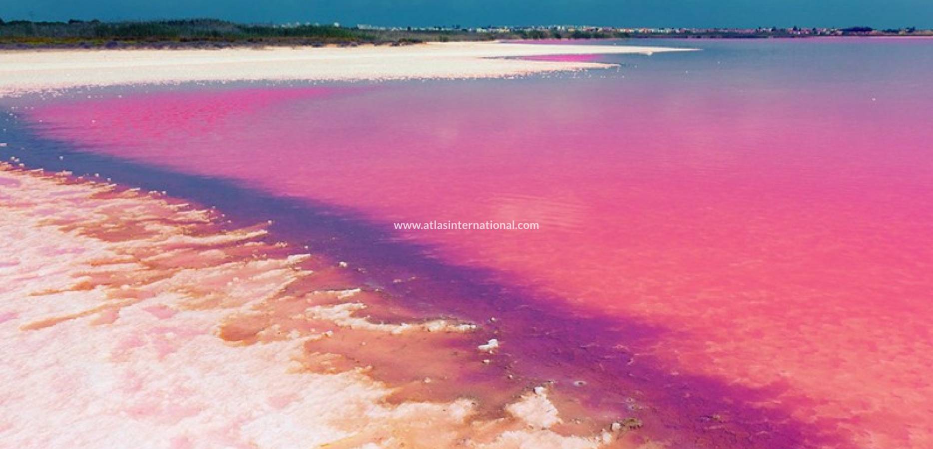 Nowo zbudowane - Apartament - Torrevieja