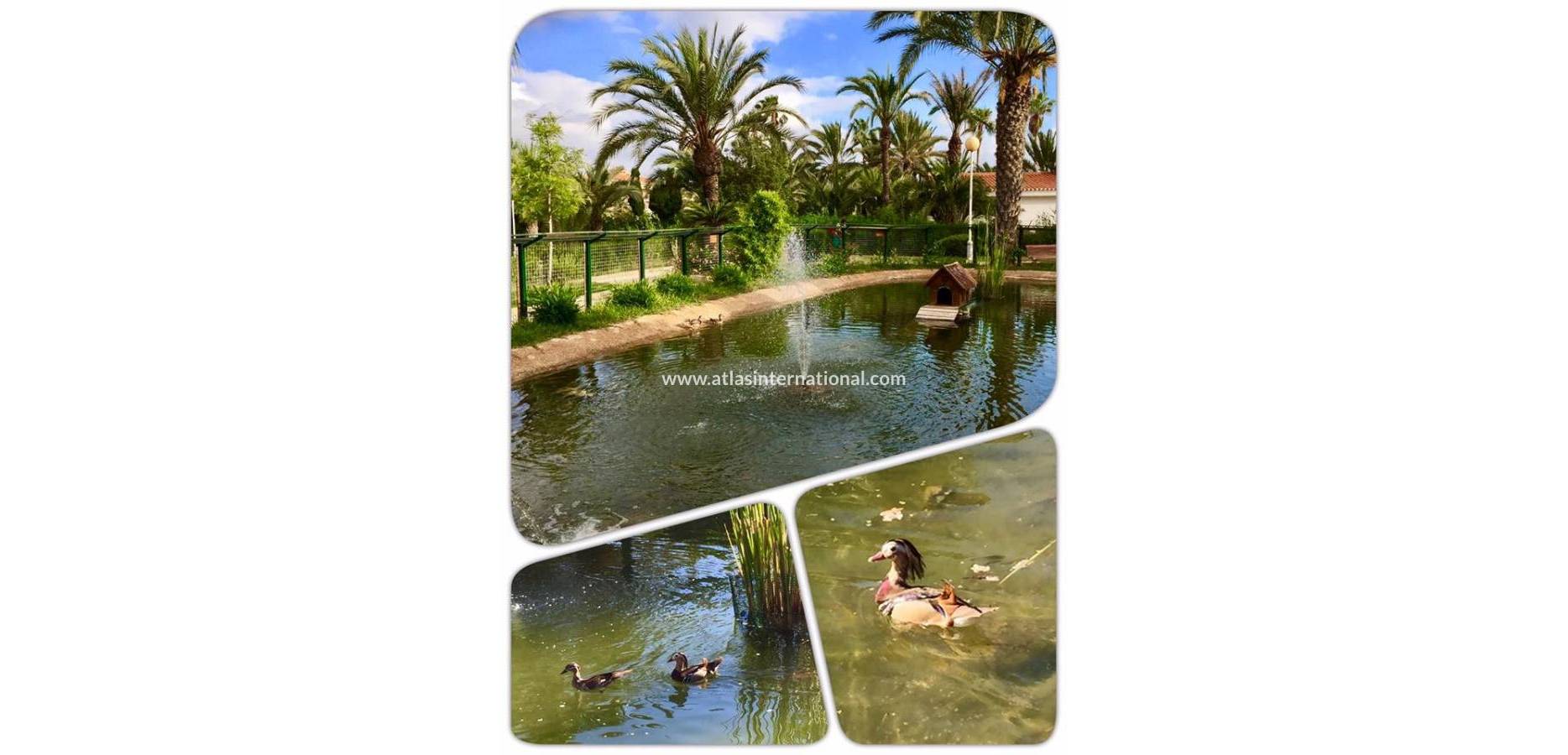 New Build - Semi-Detached Villa - Los urrutias