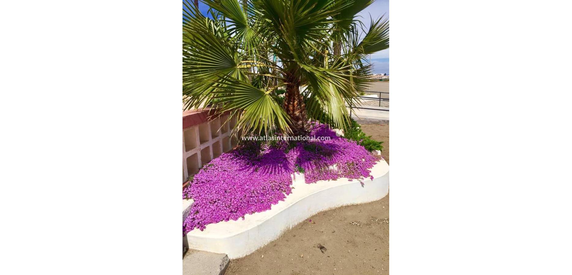 New Build - Semi-Detached Villa - Los urrutias