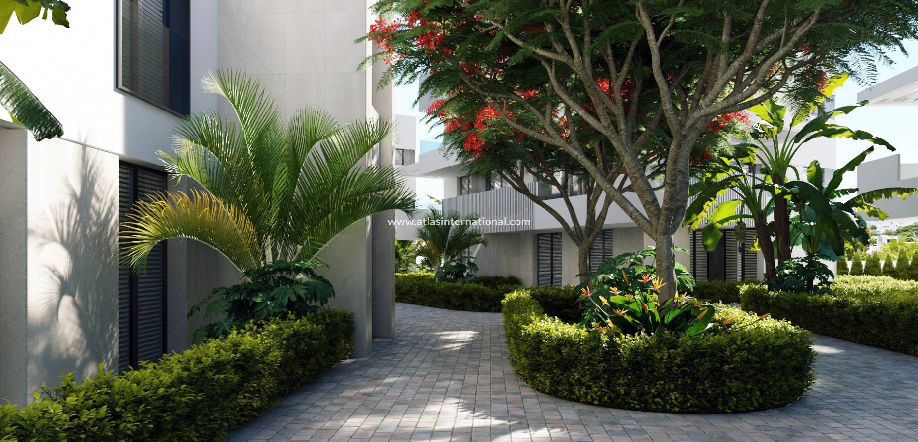 New Build - Apartment - Torre Pacheco