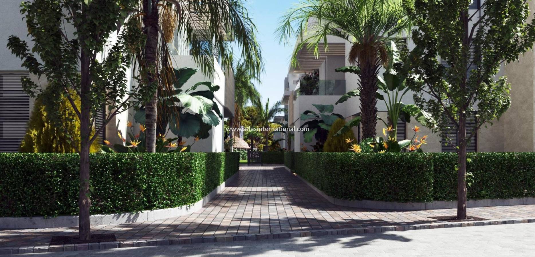 New Build - Penthouse - Torre Pacheco