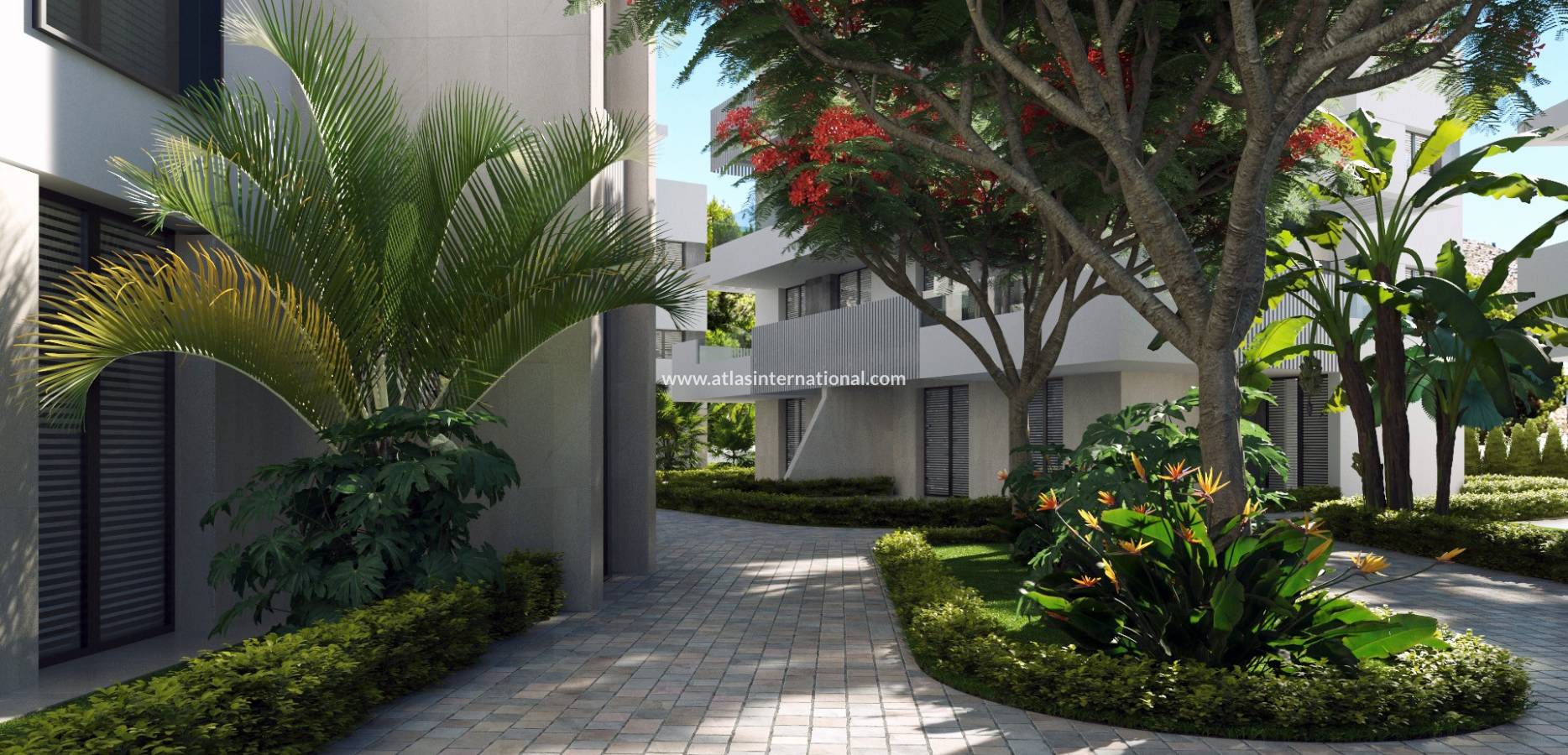 New Build - Penthouse - Torre Pacheco