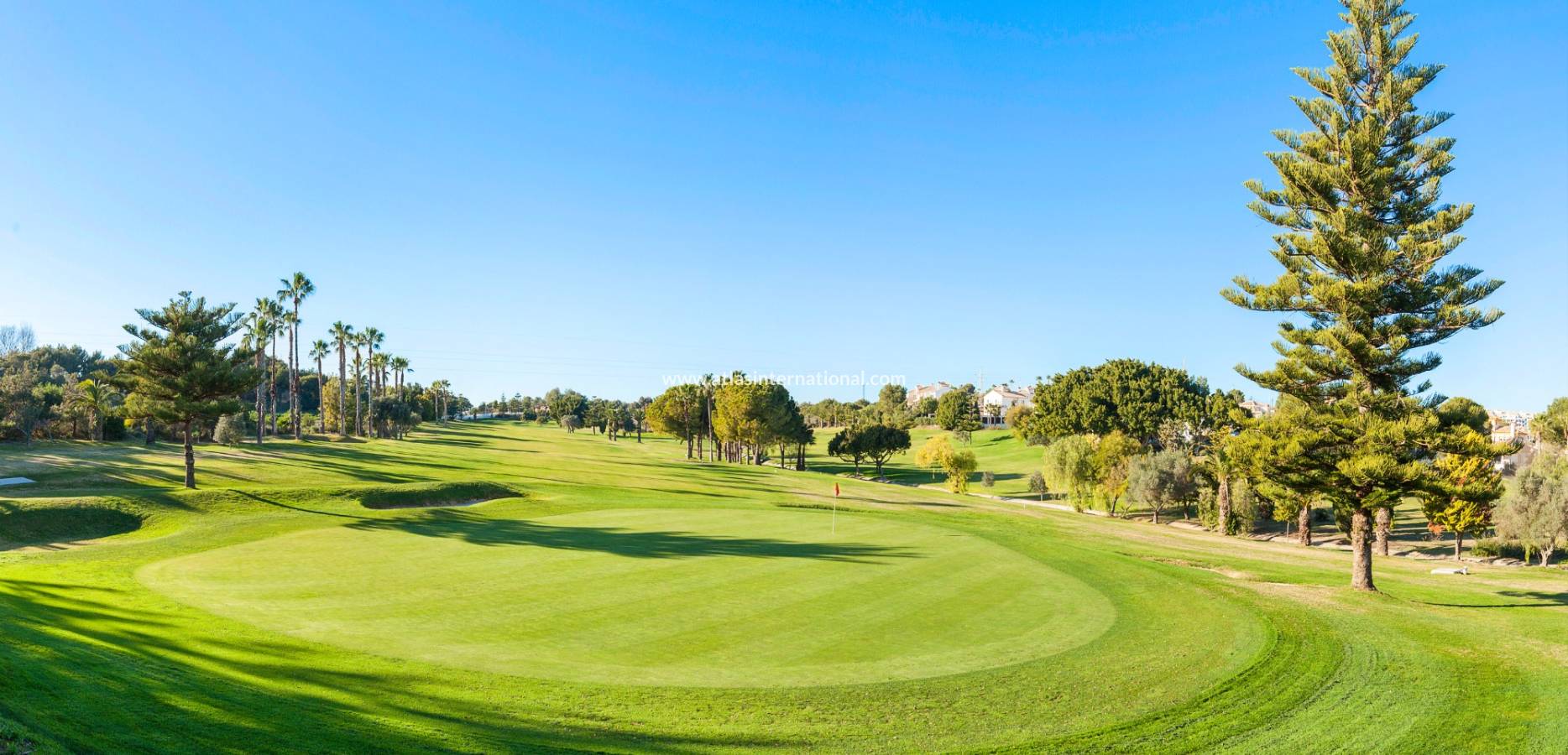 Odsprzedaż - Dupleks - Orihuela costa