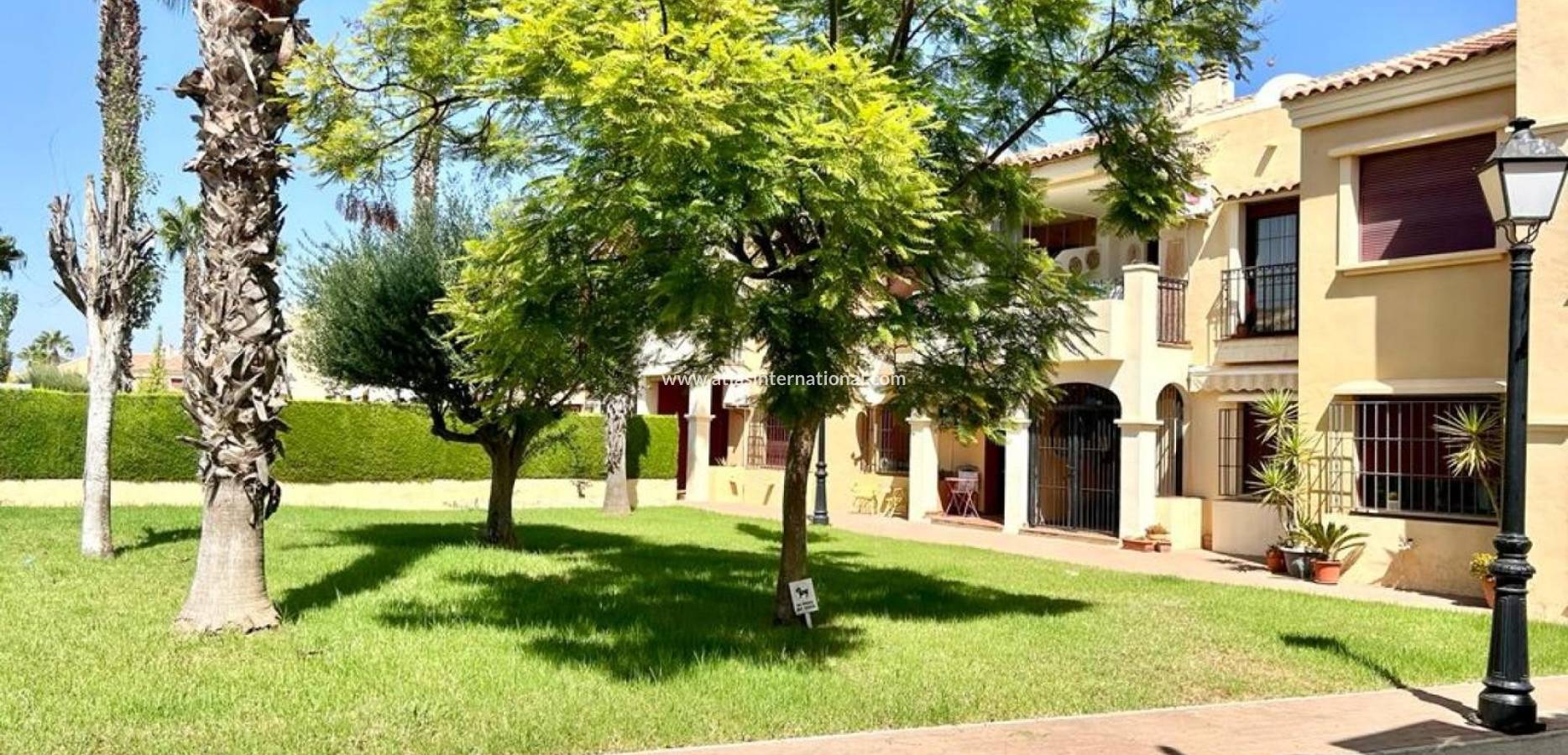 Odsprzedaż - Dupleks - Torrevieja