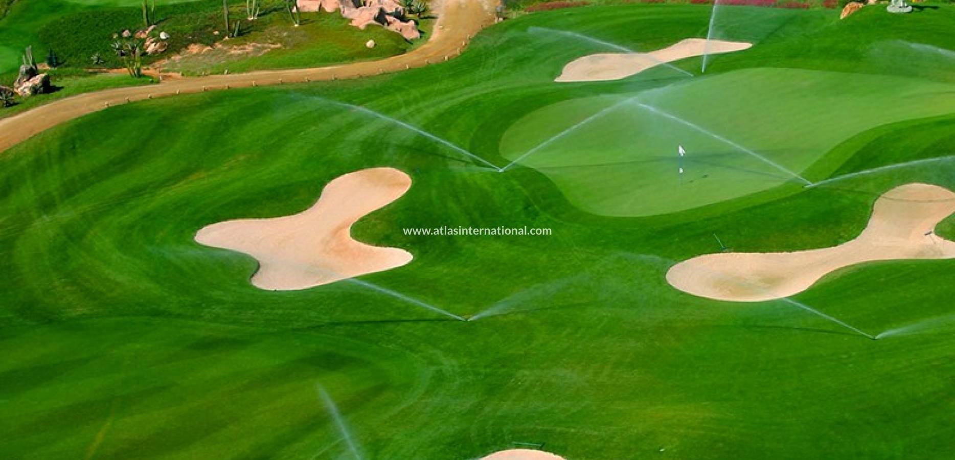 New Build - Duplex - PulpÍ