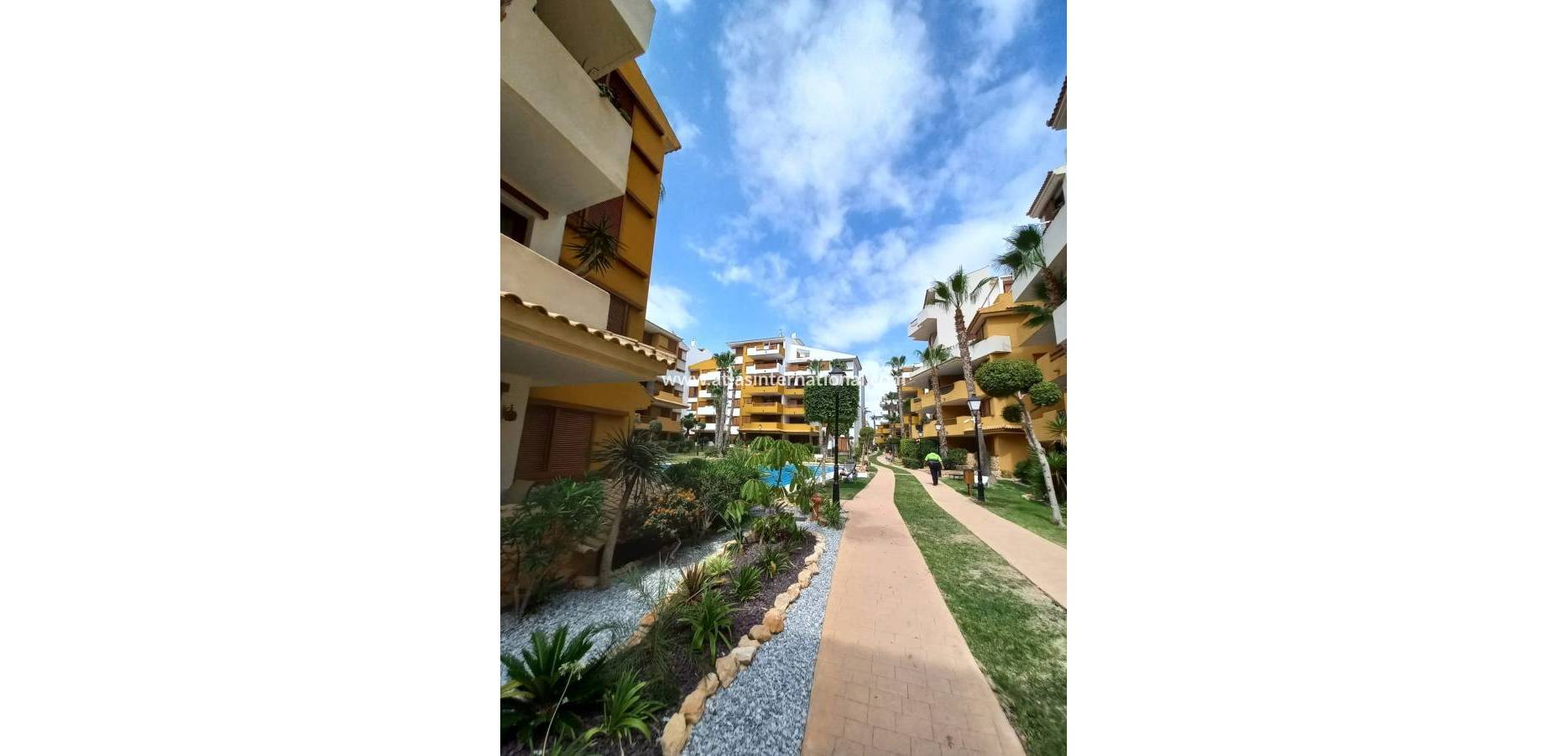 Venta - Apartamento - Mil Palmeras