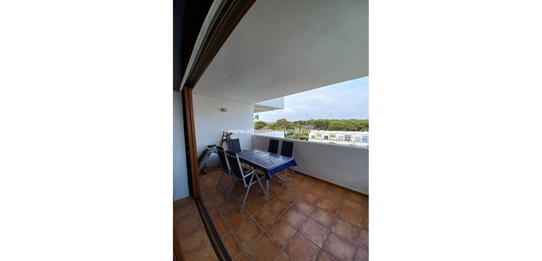 Venta - Apartamento - Mil Palmeras