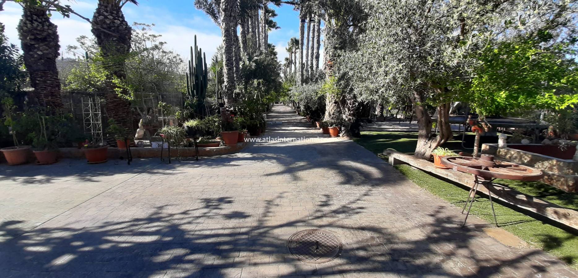 Resale - Finca - Orihuela