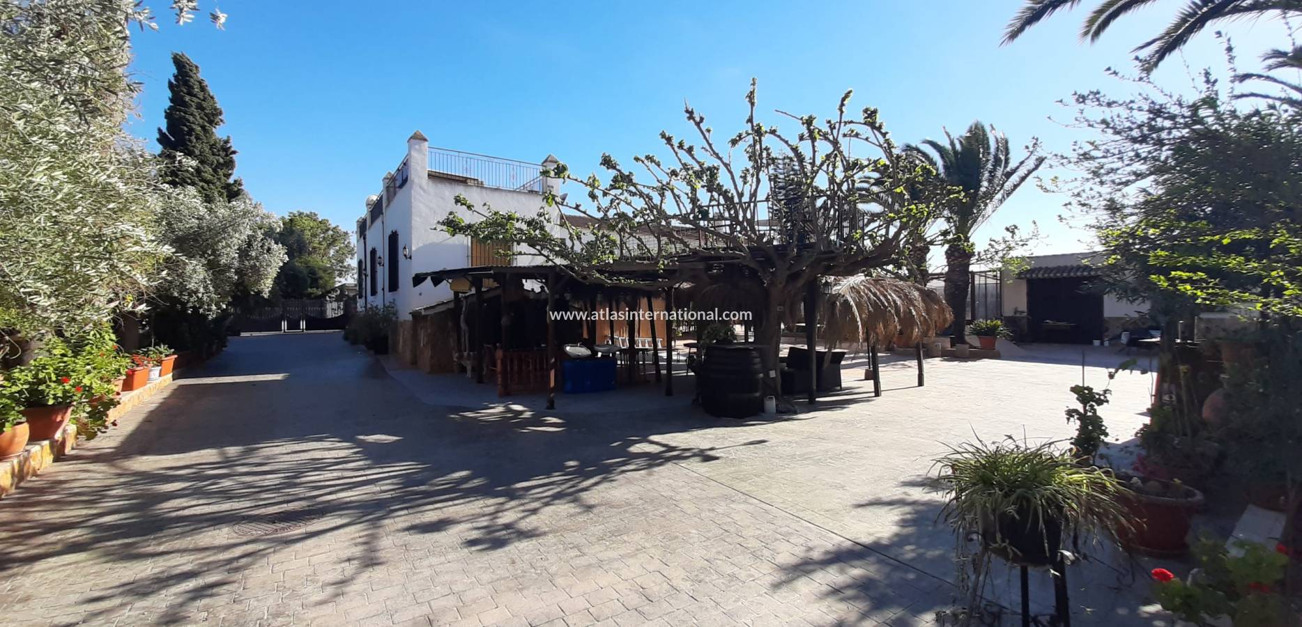 Resale - Finca - Orihuela