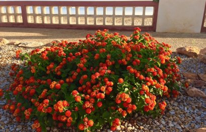 Villa · New Build - Los Urrutias · Murcia · Spain