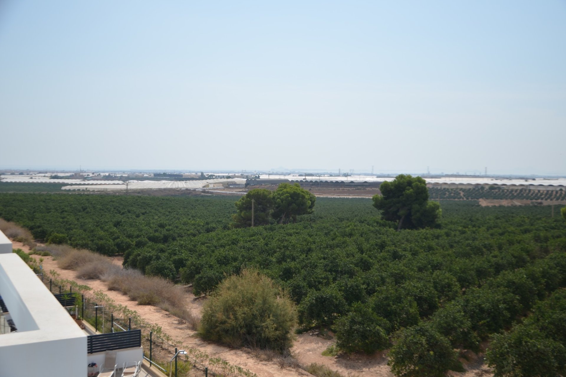 Resale - Villa - Pilar de la Horadada - Costa Blanca South