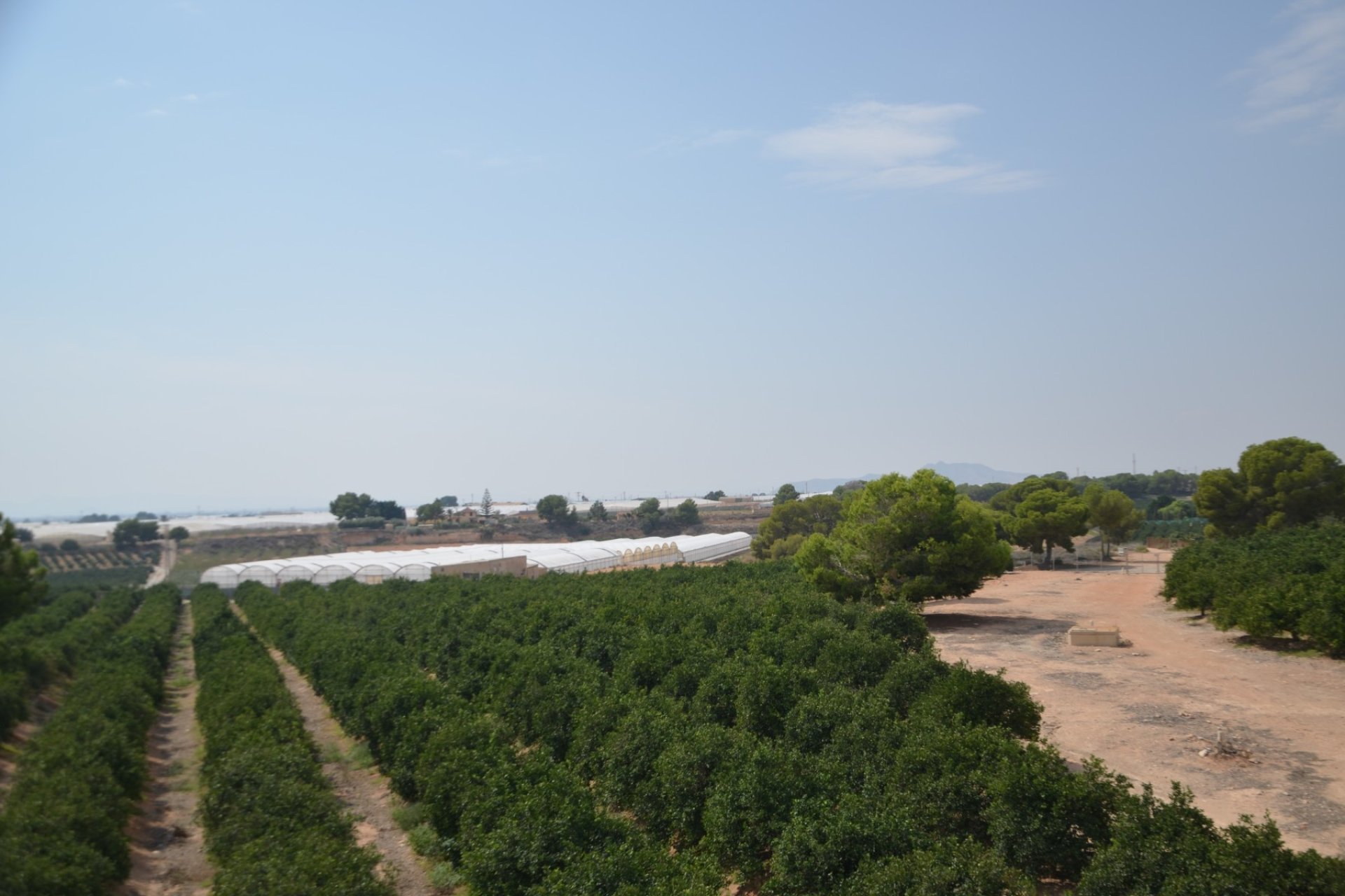 Resale - Villa - Pilar de la Horadada - Costa Blanca South