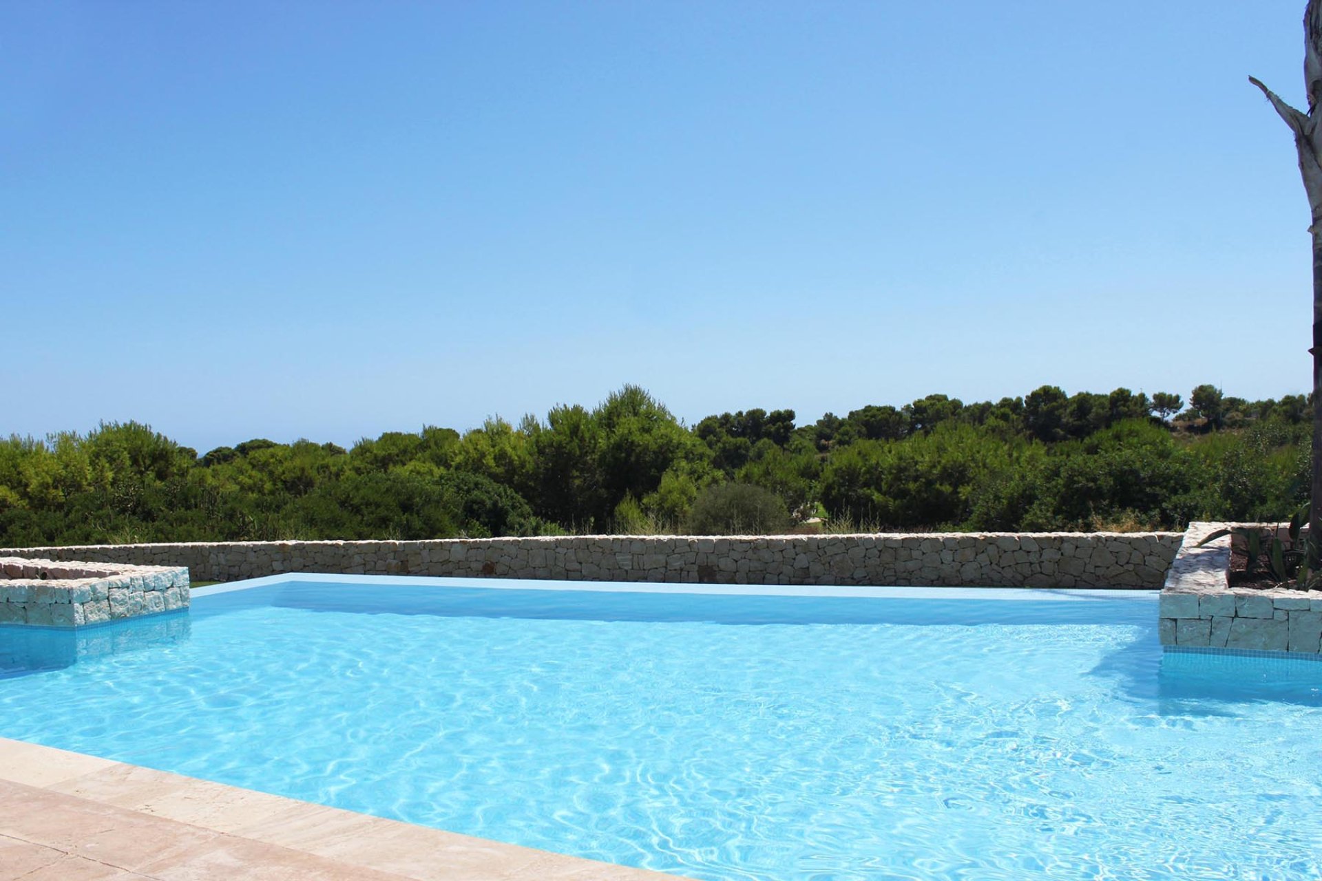 Nybyggnation - Lägenhet - Pilar de la Horadada - Costa Blanca South