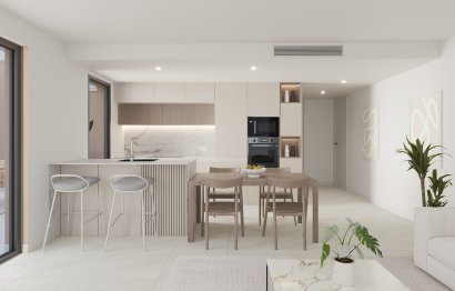 Penthouse · New Build - Torre Pacheco · Torrepacheco · Murcia · Spain