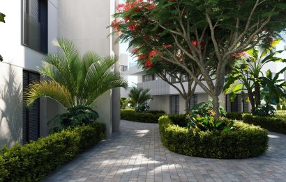 Penthouse · New Build - Torre Pacheco · Torrepacheco · Murcia · Spain
