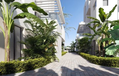 Penthouse · New Build - Torre Pacheco · Torrepacheco · Murcia · Spain