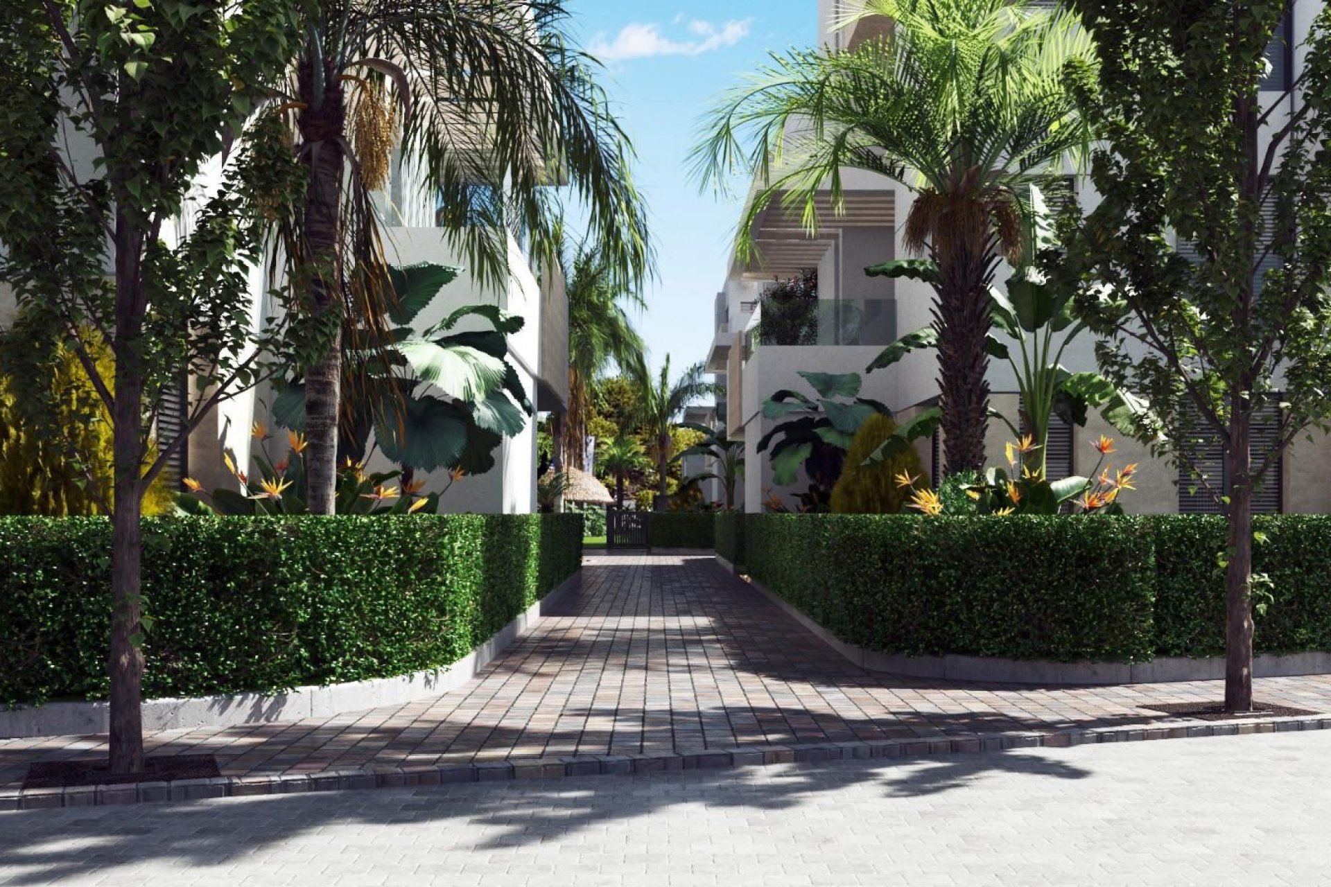New Build - Penthouse - Torre Pacheco - Costa Calida