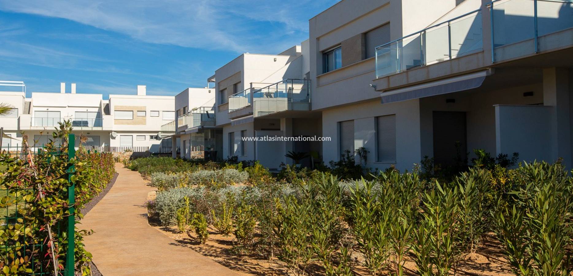 New Build - Duplex - Los montesinos - Vistabella