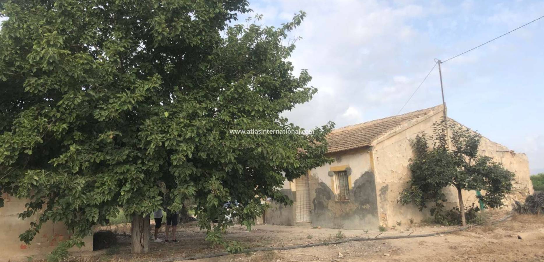 Resale - Finca - Callosa de Segura