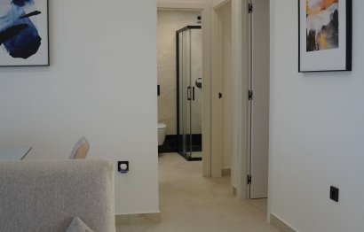 Penthouse · New Build - Torre de la Horadada · Alicante · Spain