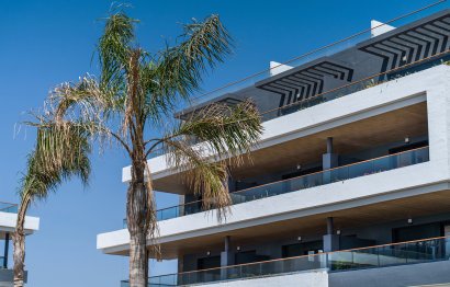 Apartment · New Build - Torrevieja · Alicante · Spain