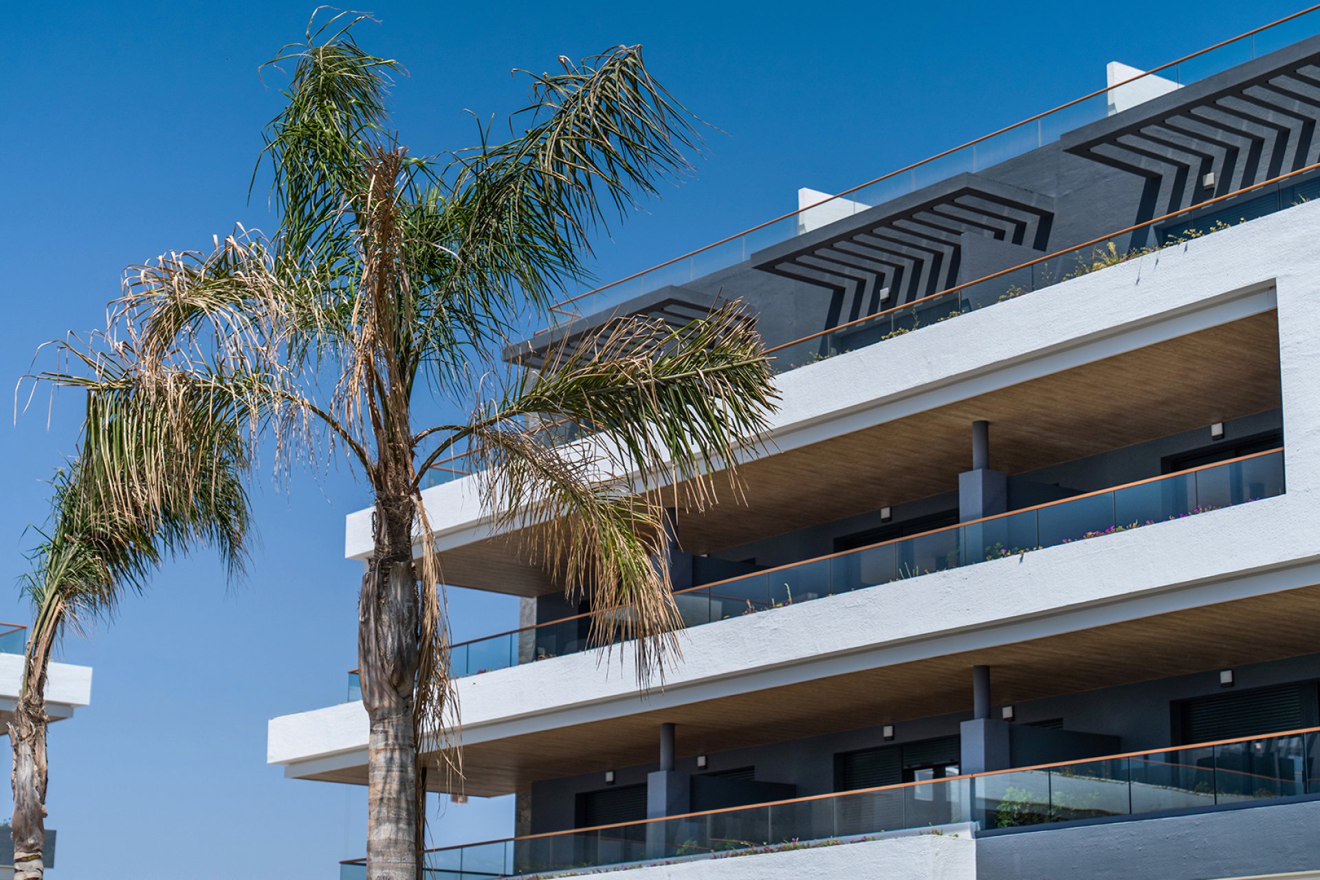 New Build - Apartment - Torrevieja - Costa Blanca South