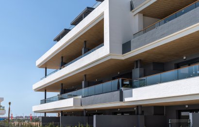 Apartment · New Build - Torrevieja · Alicante · Spain