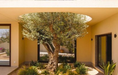 Villa · Obra nueva - La Marina · Alicante · España