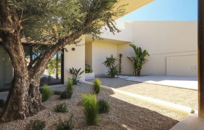 Villa · Obra nueva - La Marina · Alicante · España