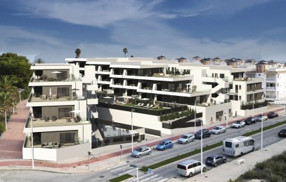 Daszek · Rynek pierwotny - La Marina del Pinet · Alicante · Hiszpania