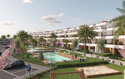 Daszek · Rynek pierwotny - Condado de Alhama · Murcia · Hiszpania