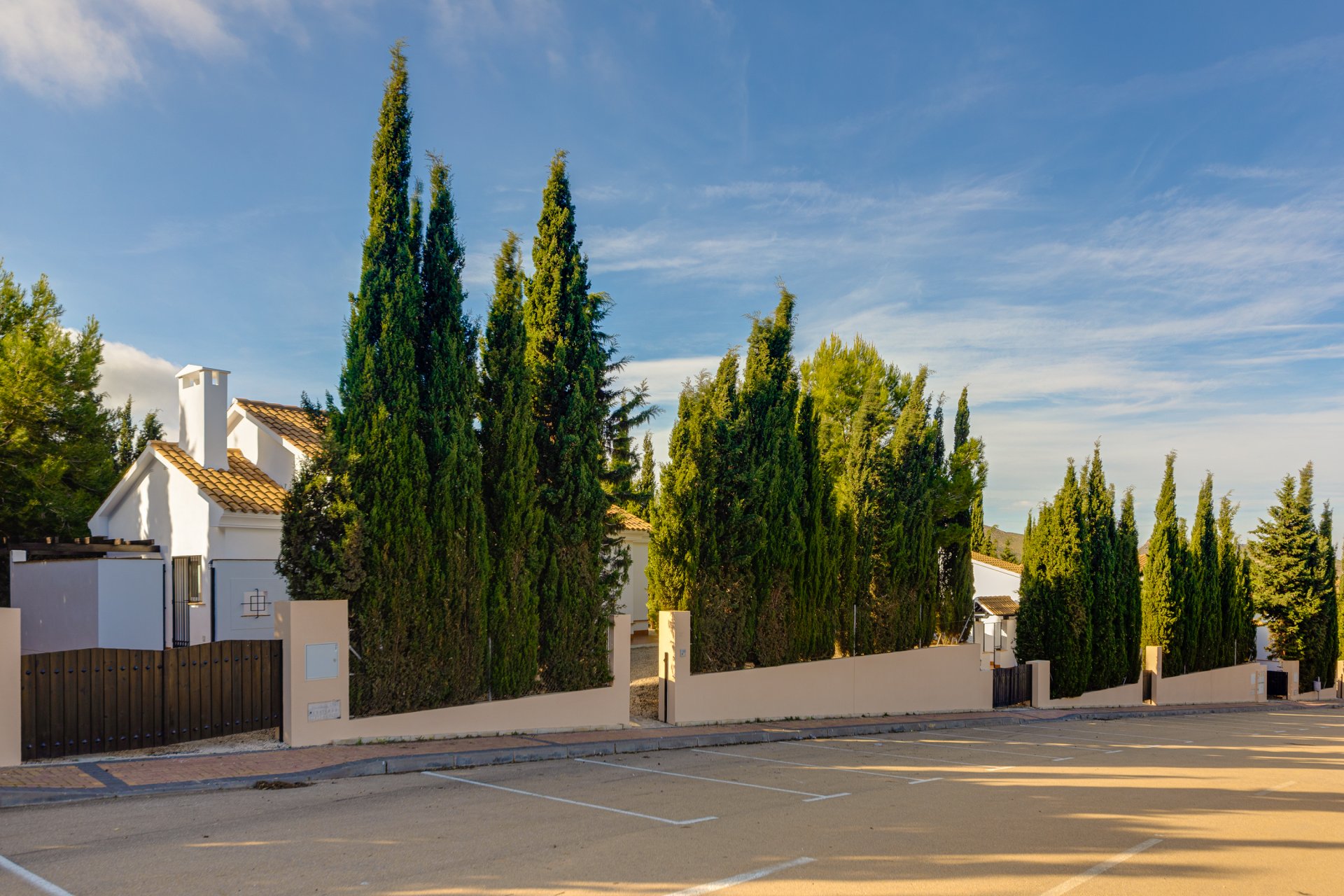 New Build - House - Fuente Alamo