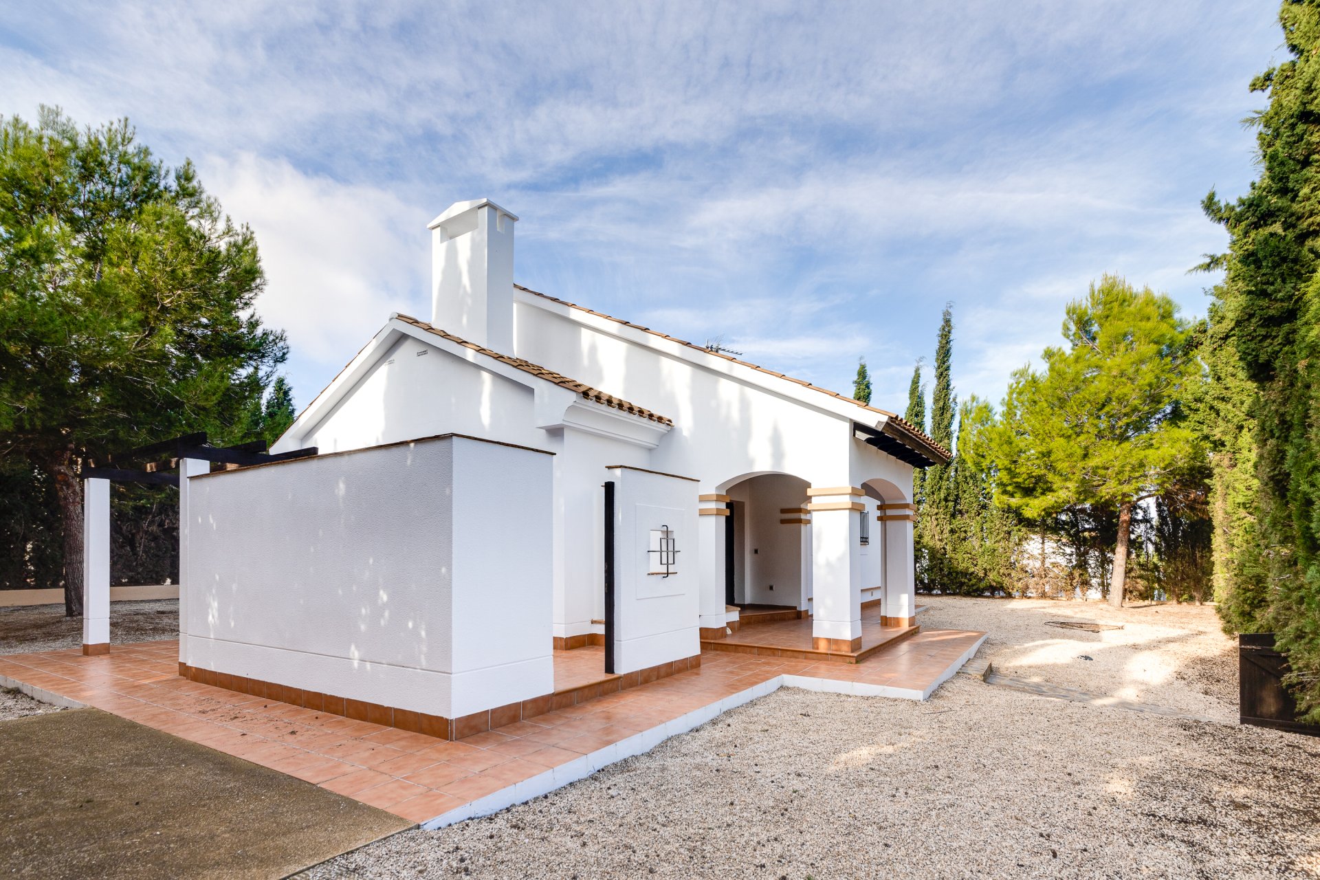 New Build - House - Fuente Alamo