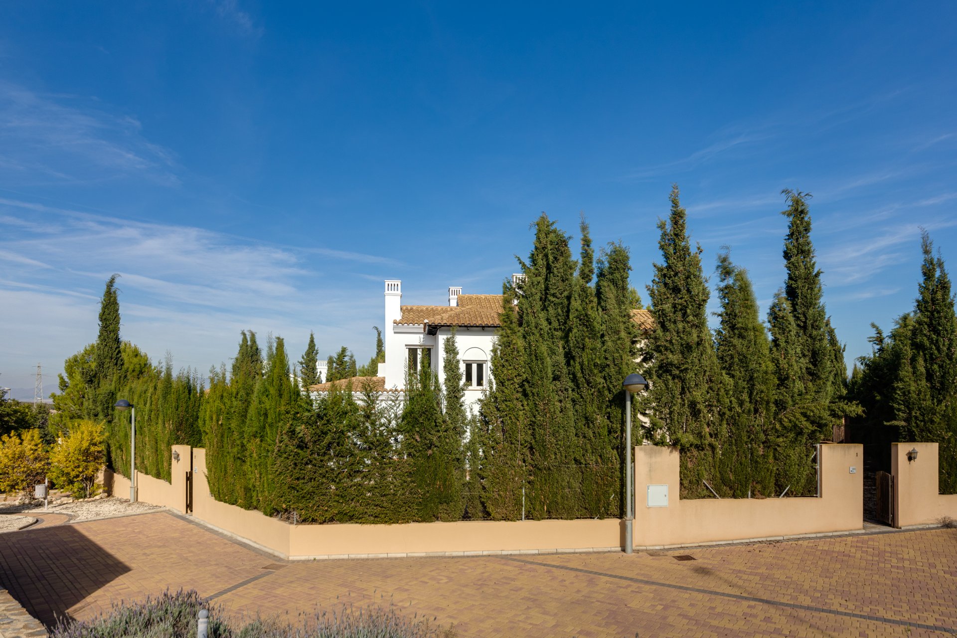 New Build - House - Fuente Alamo