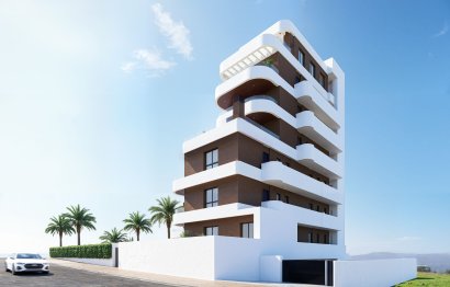 Daszek · Rynek pierwotny - Guardamar del Segura · Alicante · Hiszpania