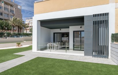 Daszek · Rynek pierwotny - Torrevieja · Alicante · Hiszpania