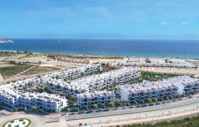 Daszek · Rynek pierwotny - Pulpí · Almería · Hiszpania